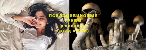 мдма Саяногорск