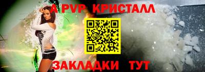 кокс Кингисепп