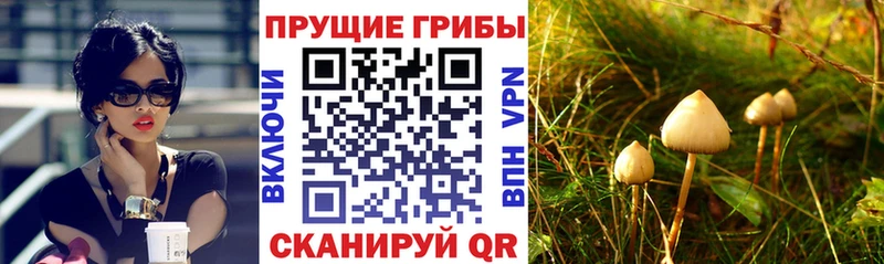 сайты даркнета формула  купить   Шарыпово  Псилоцибиновые грибы мухоморы 