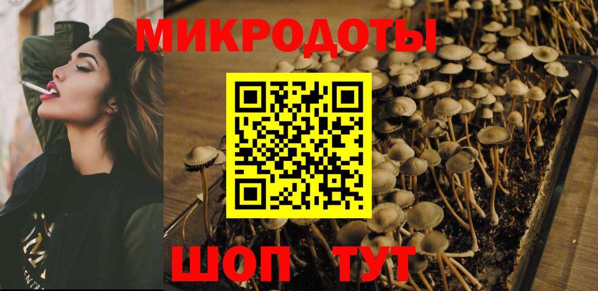 Псилоцибиновые грибы Magic Shrooms Шарыпово